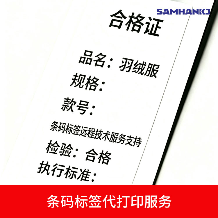 代打印服务